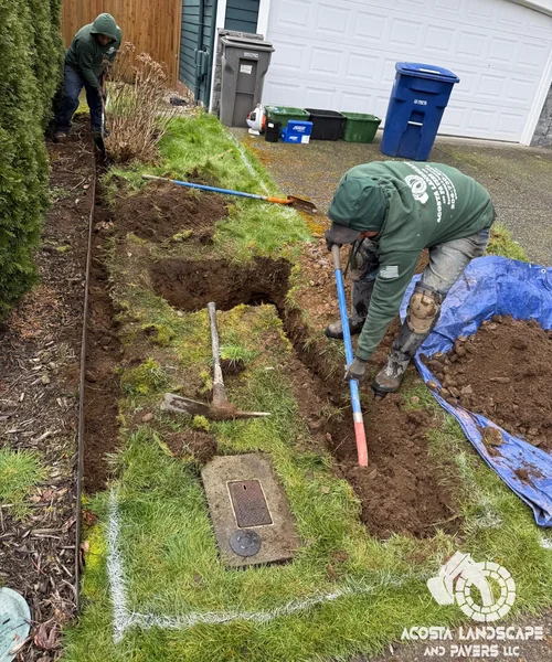Lawn Care & Sprinkler System Installation in Lynnwood 